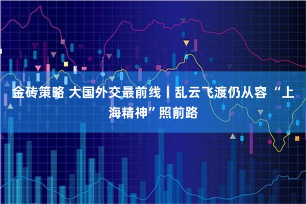 金砖策略 大国外交最前线丨乱云飞渡仍从容 “上海精神”照前路