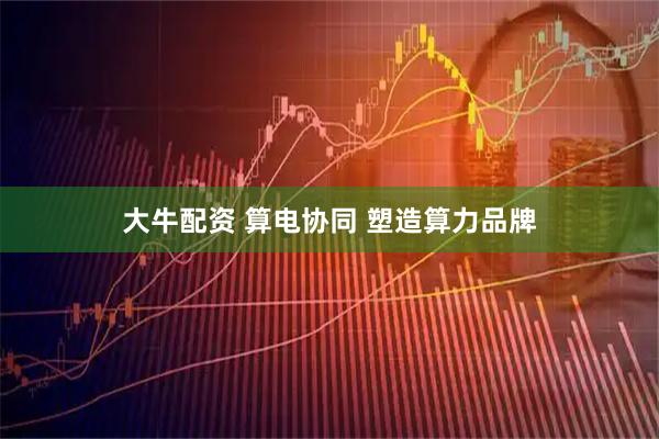 大牛配资 算电协同 塑造算力品牌