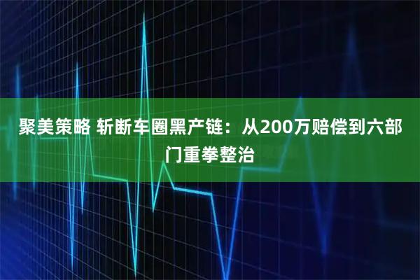 聚美策略 斩断车圈黑产链：从200万赔偿到六部门重拳整治